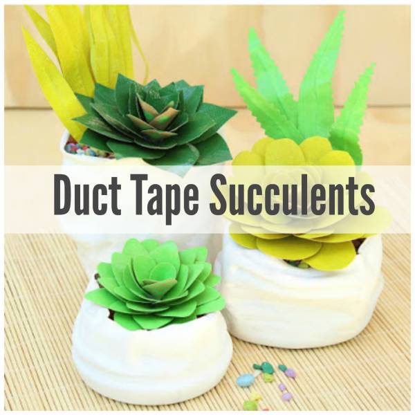\"succulents\"
